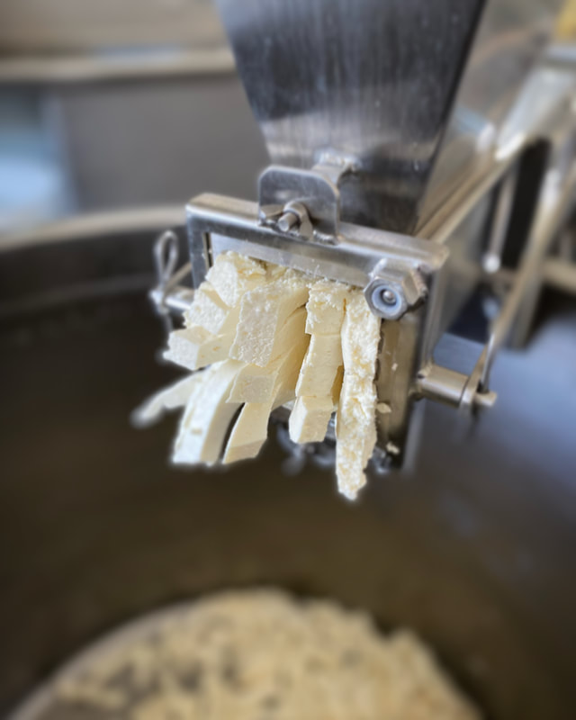 Image contains cheese curds in the process of being milled. 