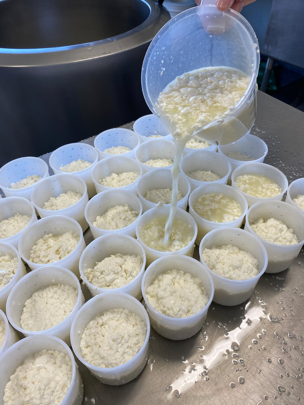 Image contains the cheese maker filling the cheese moulds.