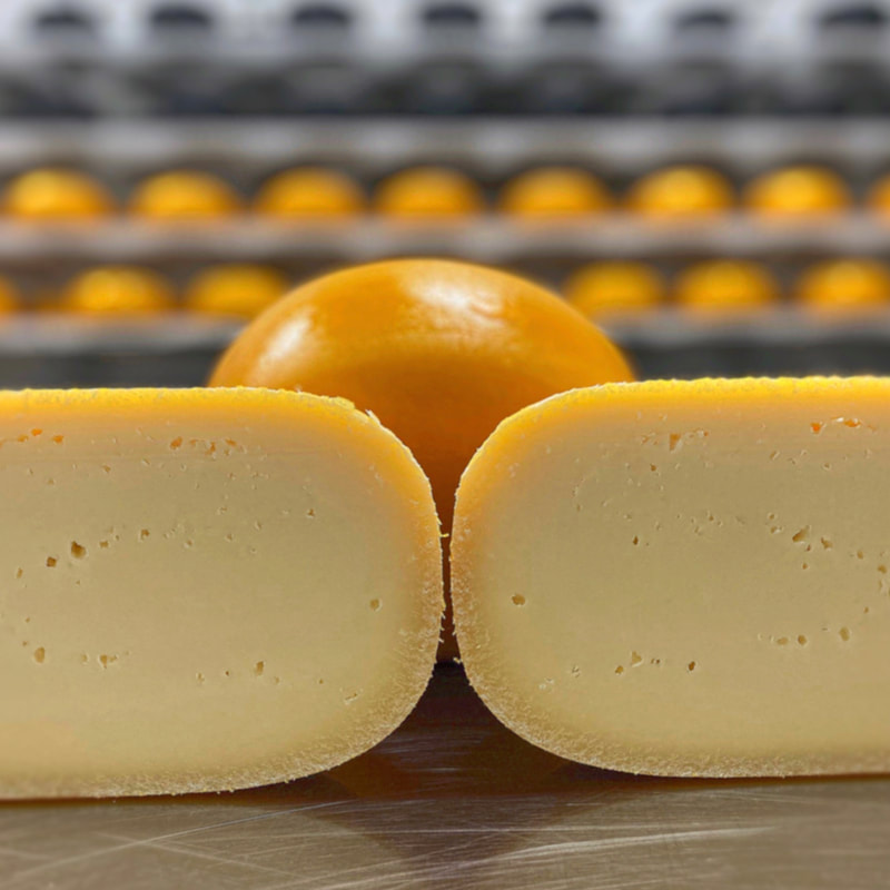 Image contains a wheel of fresh cut cheese in halves. 
