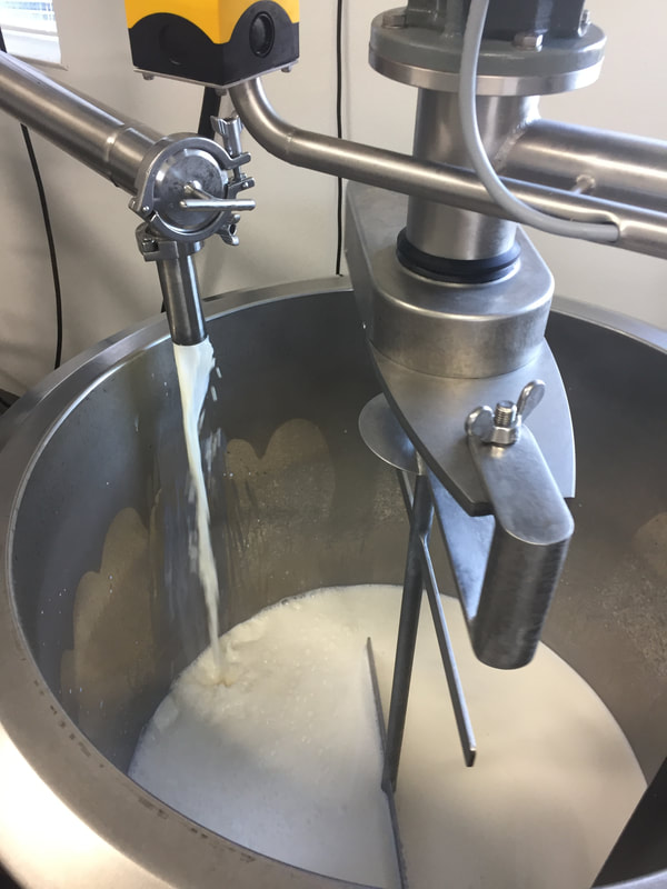 Image contains milk filling into the pasteurizing vat. 